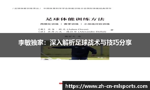 李敏独家：深入解析足球战术与技巧分享